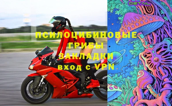 сатива Орск