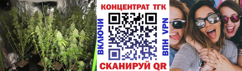 ТГК THC oil  Спасск 